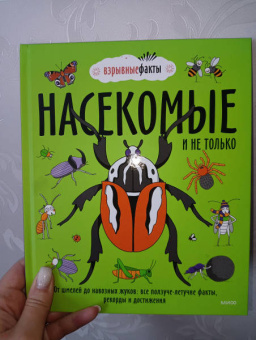 Noodle Fuel: Насекомые и не только. От шмелей до навозных жуков. Все ползуче-летучие факты, рекорды и достижения