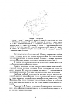 Калинина, Саломатин, Толстопятов: Птицеводство. Практикум. Учебное пособие