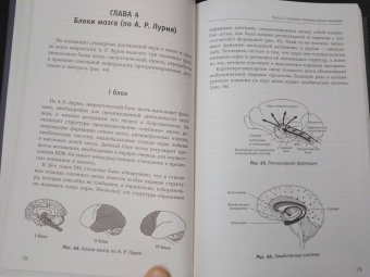 Татьяна Визель: Основы нейропсихологии. Теория и практика