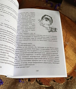 Волкова, Литтера: Я тебя искал. Я тебя нашла