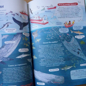 Амандин Тома: Через океаны