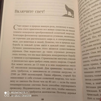 Петер Воллебен: Тайные связи в природе