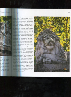 Доронина, Калугина, Завьялова: Московские львы