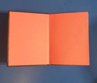 Елена Сафронова: Жители ноосферы