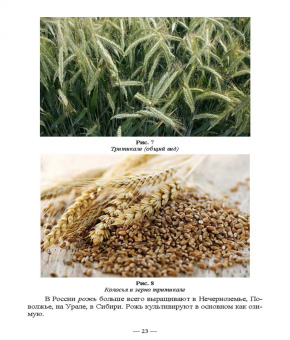 Позняковский, Рязанова, Николаева: Атлас аннотированный. Продукты растительного происхождения. Учебное пособие