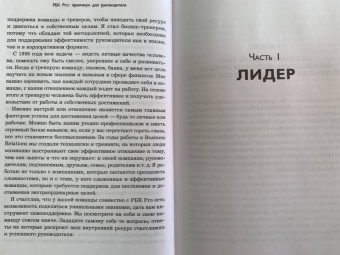 Герасичев, Рябуха, Маурах: РБК Pro. Практикум для руководителя. Как поддержать настрой в команде и не перегореть самому