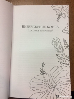 Чимаманда Адичи: Лиловый цветок гибискуса