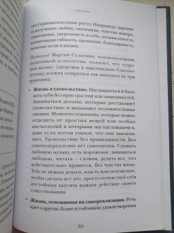 Вальтер Рисо: Сильнее невзгод. Как пережить стрессовые ситуации и стать сильнее