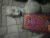 Анна Огински: Гадание на игральных картах. Как предсказывать будущее на колоде из 36 карт Анна Огински: Гадание на игральных картах. Как предсказывать будущее на колоде из 36 карт