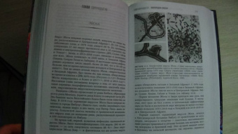 Майкл Олдстоун: Вирусы и эпидемии в истории мира. Прошлое, настоящее и будущее