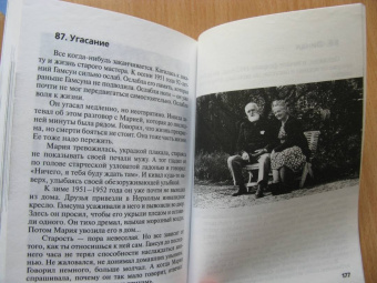 Николай Надеждин: Кнут Гамсун. "Грешники и праведники"