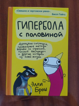 Элли Брош: Гипербола с половиной