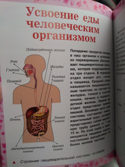 Мерников, Шереметьева, Спектор: Как все устроено и как это работает