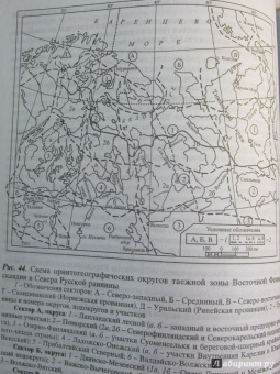Сергей Сазонов: Орнитофауна тайги Восточной Фенноскандии. Исторические и зонально-ландшафтные факторы формирования