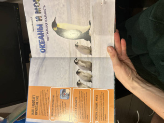 Анна МакРей: Океаны и моря. Виртуальная реальность