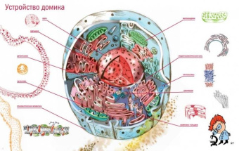Егоров, Нечипоренко: Живой дом