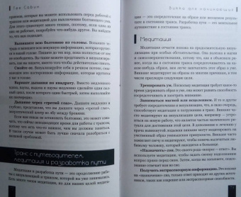 Тея Сабин: Викка для начинающих. Основы философии и практики
