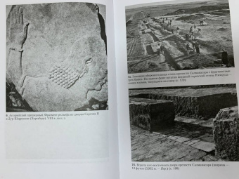 Йорген Лессёэ: Ассирийцы. Покорители народов