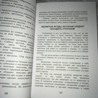 Иван Дубровин: Лес – кормилец