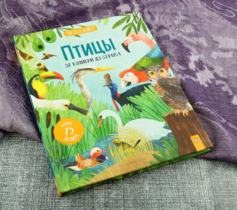 Джеки Маккэнн: Птицы. От колибри до страуса