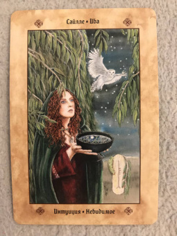 Микки Мюллер: Голоса деревьев. Кельтский оракул (25 карт)