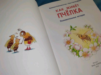 Фридерун Райхенштеттер: Как живёт пчёлка. Познавательные истории