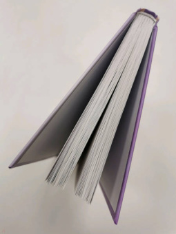 Гэри Чепмен: Дай любви шанс. 11 шагов к преодолению семейного кризиса