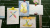 Света Нагаева: ХромоСоня Света Нагаева: ХромоСоня
