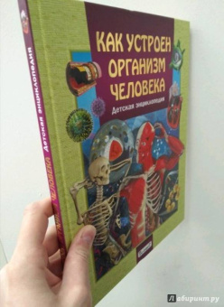 Как устроен организм человека. Детская энциклопедия