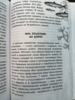 Борис Сергеев: Тайны океана