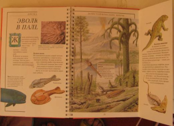 Диксон, Чарман: Дискавери:  Доисторические миры