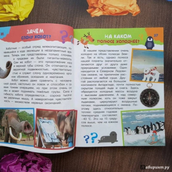 Малов, Альтшулер: 100 тысяч почему