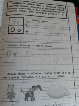 Надежда Жукова: Прописи для детей 6-8 лет. В 3-х тетрадях