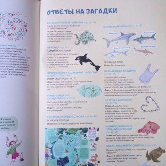 Амандин Тома: Через океаны