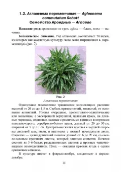 Морозова, Вандышев, Виноградова: Комнатные ядовитые растения. Учебное пособие