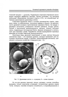 Сахарова, Сахарова: Водная микробиология. Учебник