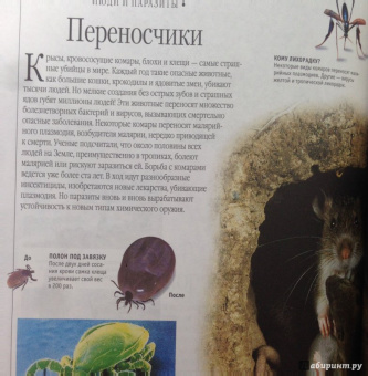 Тина Канделаки: Гигантская энциклопедия живого мира