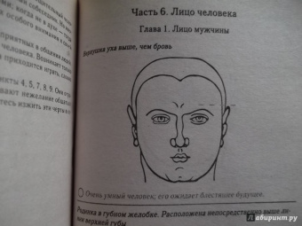 Вера Надеждина: Нумерология и хиромантия