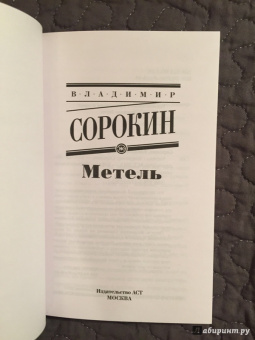 Владимир Сорокин: Метель