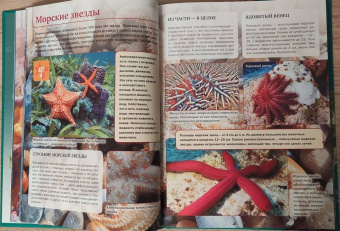 Спектор, Ликсо: Подводный мир