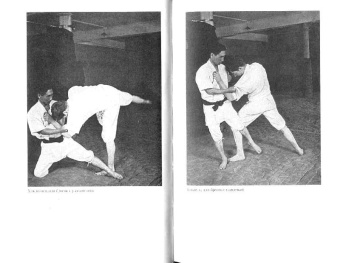 Инадзо, Норман: Японский воин