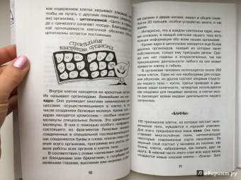 Борис Сергеев: Как устроен человек