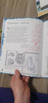 Марк Берджин: Школа рисования. Кошки