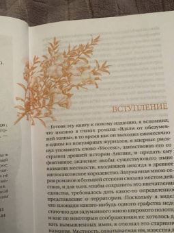 Гюстав Флобер: Госпожа Бовари