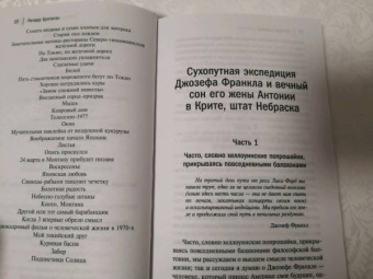 Ричард Бротиган: Экспресс Токио-Монтана