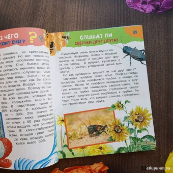 Владимир Малов: 100 тысяч зачем