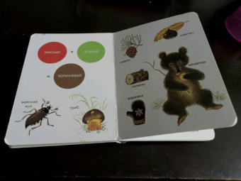 Елена Ивановская: Моя первая книжка о цвете