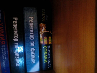 Иван Павлов: Вначале была собака. Двадцать лет экспериментов