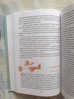 Шарлотта Бронте: Шерли