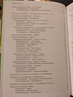 Онишко, Костерин: Стрекозы России. Иллюстрированный атлас-определитель